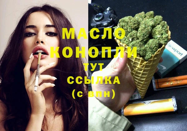 шишки Кадников