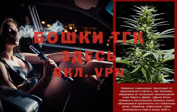 шишки Кадников