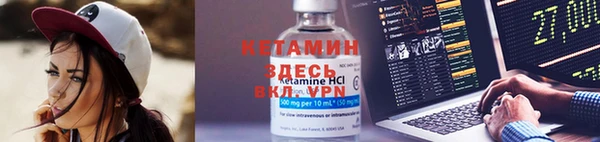 шишки Кадников