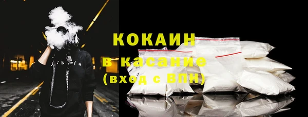 шишки Кадников