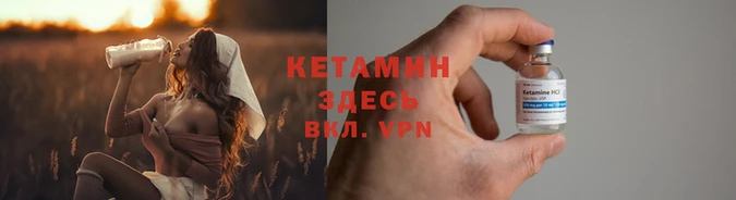 шишки Кадников