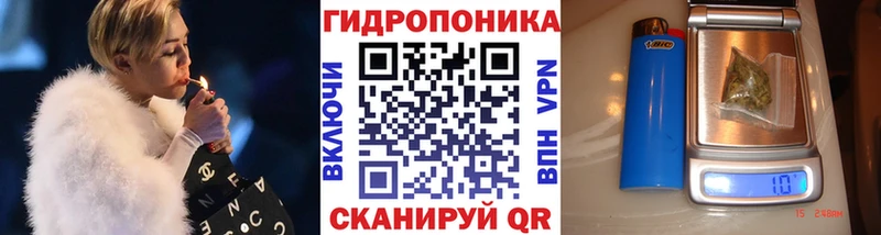 Бошки Шишки конопля  где купить наркотик  Каменногорск 